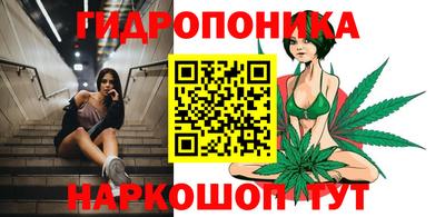 прущие крисы Анжеро-Судженск