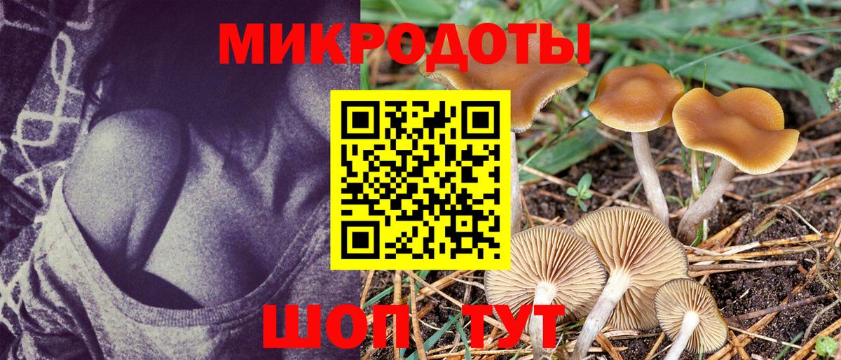 Псилоцибиновые грибы мухоморы Гуково