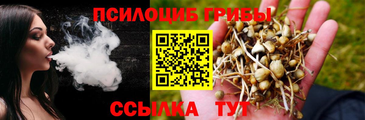 Гуково  Галлюциногенные грибы мицелий  Вход с VPN 